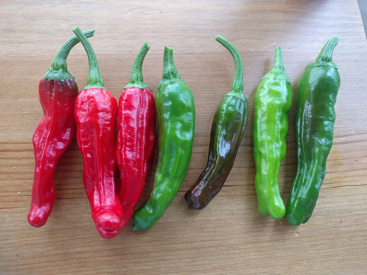Freshly harvested homegrown shishito peppers showing natural color and shape variation before blistering in a skillet