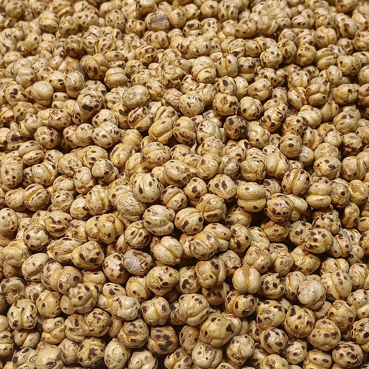 Brown golden roasted chickpeas in close-up as an illustrative crunchy bean snack