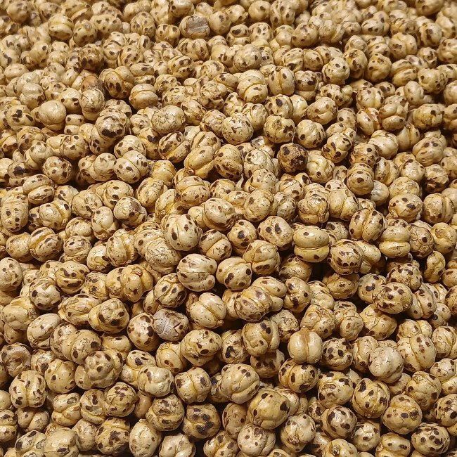 Brown golden roasted chickpeas in close-up as an illustrative crunchy bean snack